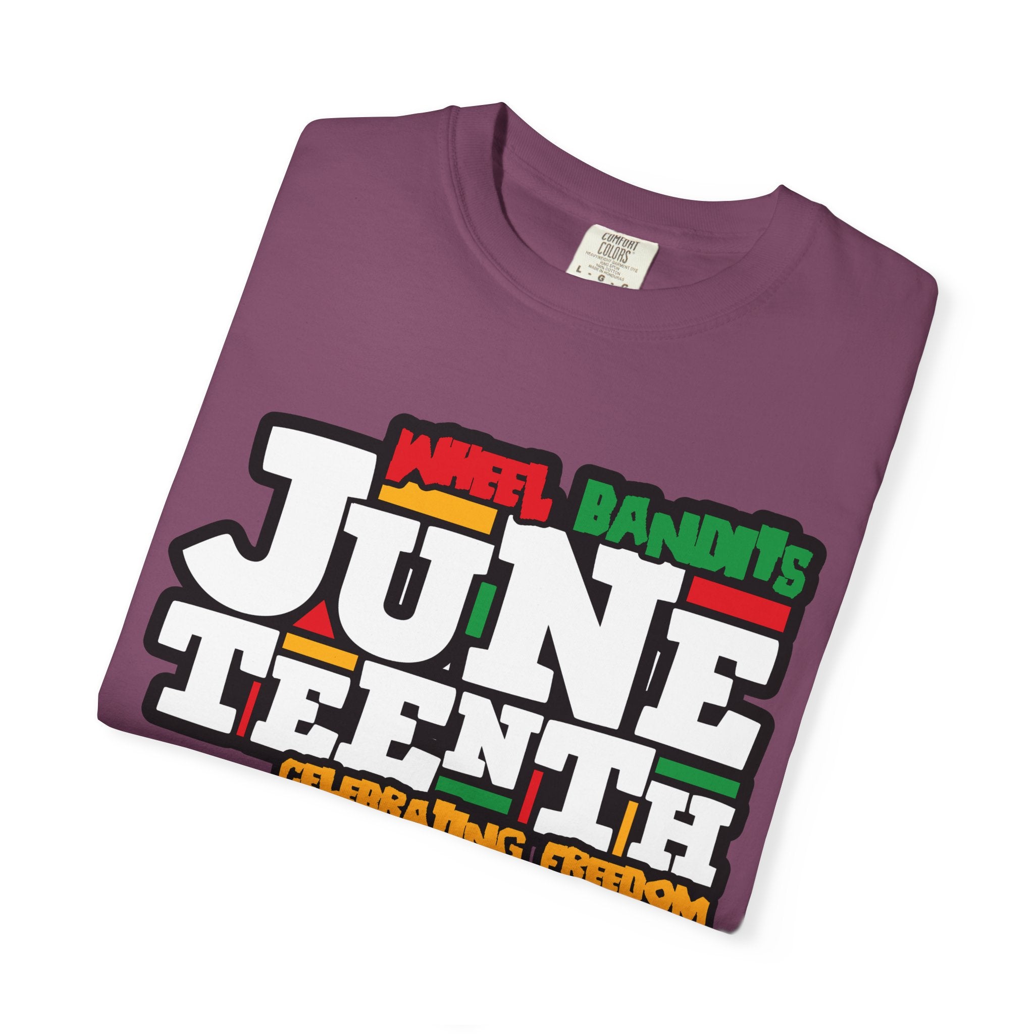 Juneteenth Celebrating Freedom T-Shirt